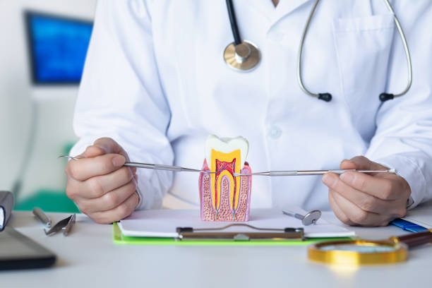 Best Emergency Wisdom Tooth Extraction in Radford, VA